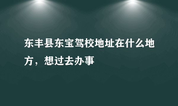 东丰县东宝驾校地址在什么地方，想过去办事