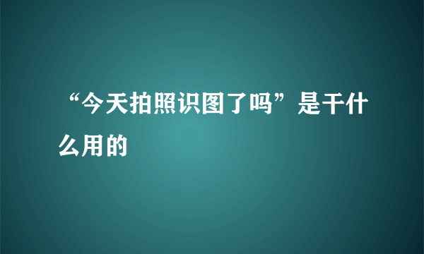 “今天拍照识图了吗”是干什么用的