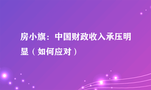 房小旗：中国财政收入承压明显（如何应对）