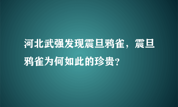 河北武强发现震旦鸦雀，震旦鸦雀为何如此的珍贵？