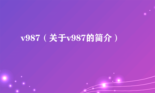 v987（关于v987的简介）