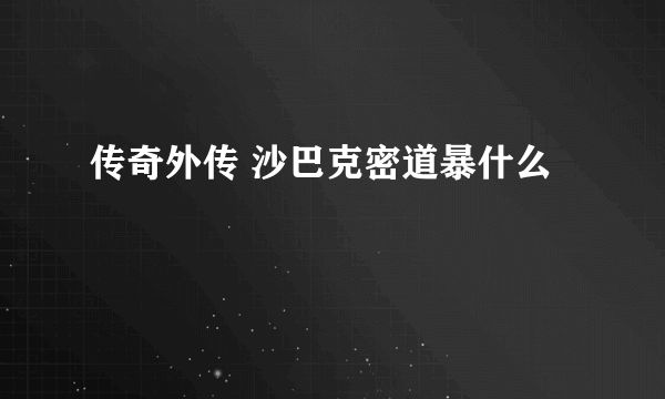 传奇外传 沙巴克密道暴什么