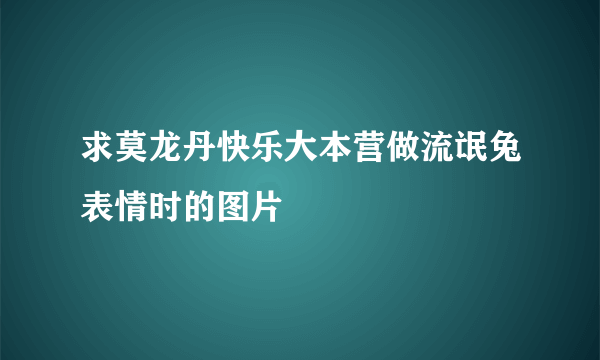 求莫龙丹快乐大本营做流氓兔表情时的图片