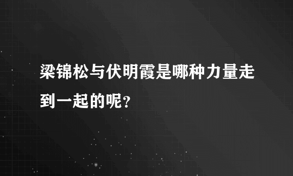 梁锦松与伏明霞是哪种力量走到一起的呢？