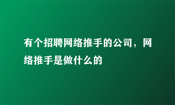 有个招聘网络推手的公司，网络推手是做什么的