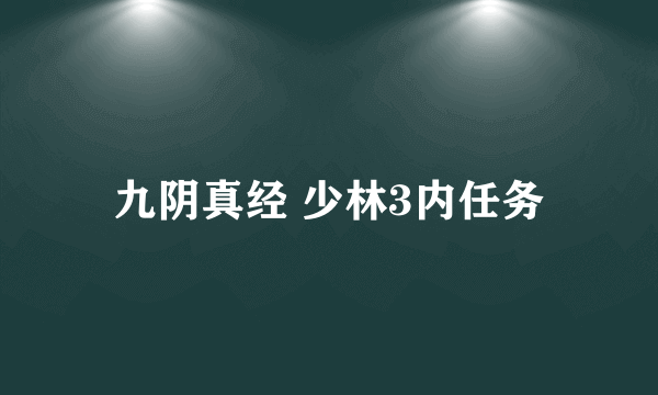 九阴真经 少林3内任务