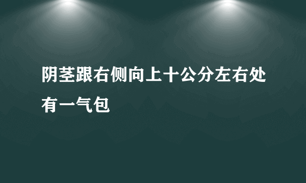 阴茎跟右侧向上十公分左右处有一气包