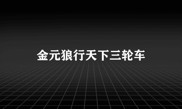 金元狼行天下三轮车