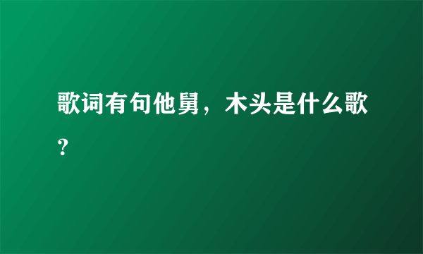 歌词有句他舅，木头是什么歌？