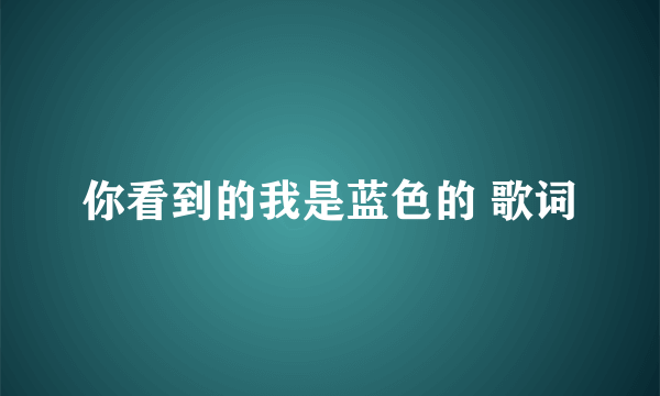 你看到的我是蓝色的 歌词