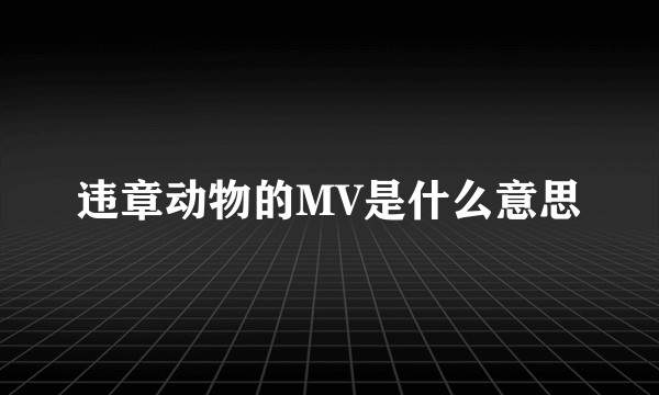 违章动物的MV是什么意思