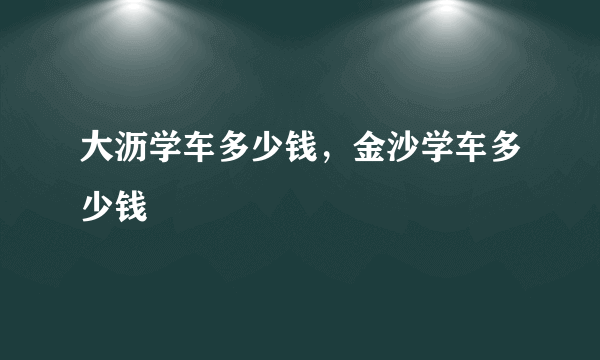 大沥学车多少钱，金沙学车多少钱