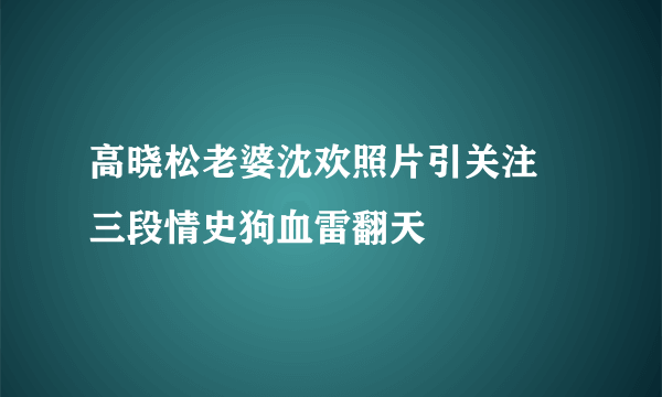 高晓松老婆沈欢照片引关注 三段情史狗血雷翻天