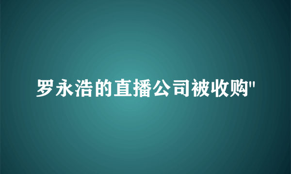 罗永浩的直播公司被收购