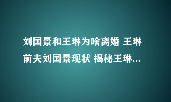 刘国景和王琳为啥离婚 王琳前夫刘国景现状 揭秘王琳离婚两次内幕