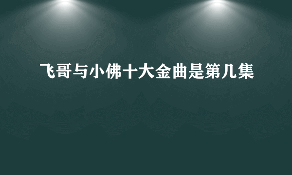 飞哥与小佛十大金曲是第几集