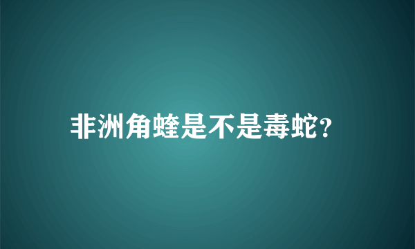 非洲角蝰是不是毒蛇？