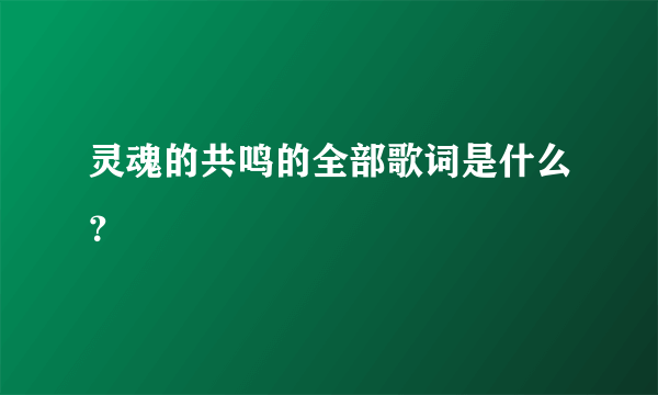 灵魂的共鸣的全部歌词是什么？