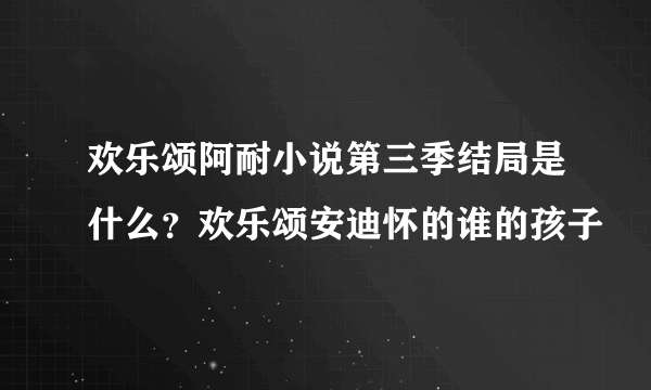 欢乐颂阿耐小说第三季结局是什么？欢乐颂安迪怀的谁的孩子