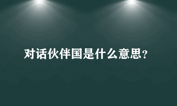 对话伙伴国是什么意思？