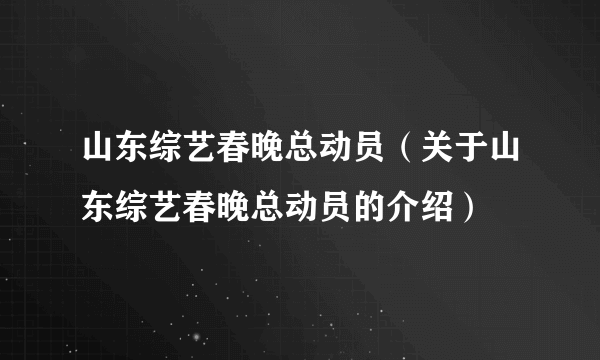 山东综艺春晚总动员（关于山东综艺春晚总动员的介绍）