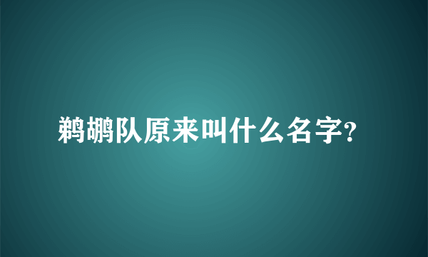 鹈鹕队原来叫什么名字？