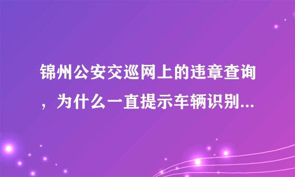 锦州公安交巡网上的违章查询，为什么一直提示车辆识别代码错误，我确认没错啊，请大侠赐教