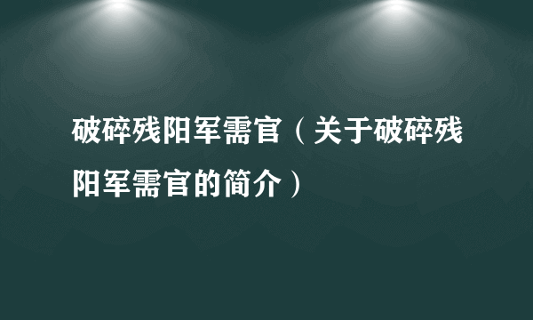 破碎残阳军需官（关于破碎残阳军需官的简介）