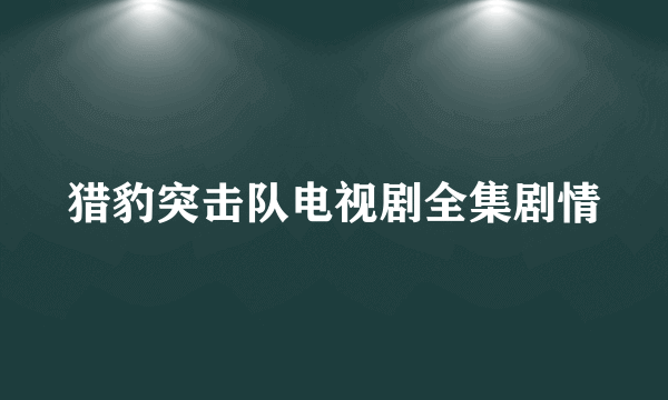 猎豹突击队电视剧全集剧情