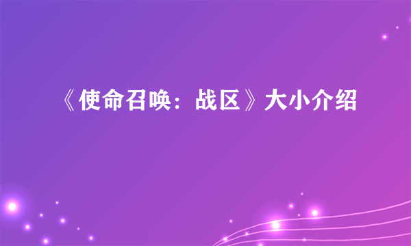 《使命召唤：战区》大小介绍