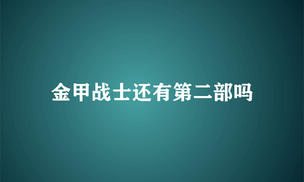 金甲战士还有第二部吗