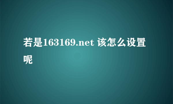 若是163169.net 该怎么设置呢