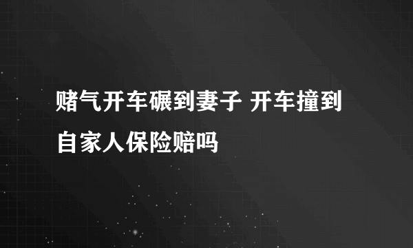 赌气开车碾到妻子 开车撞到自家人保险赔吗