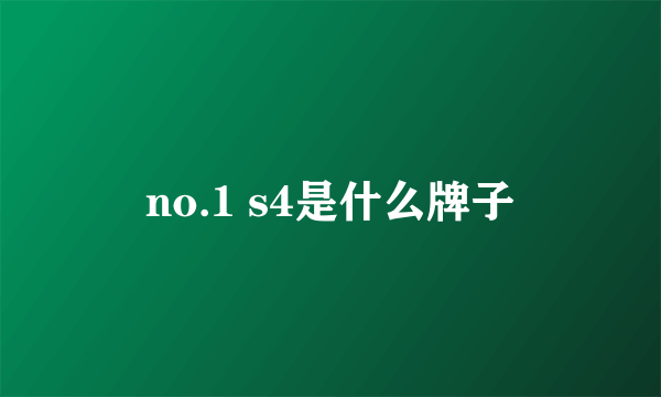 no.1 s4是什么牌子