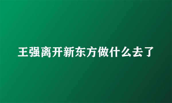 王强离开新东方做什么去了