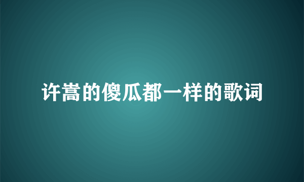 许嵩的傻瓜都一样的歌词