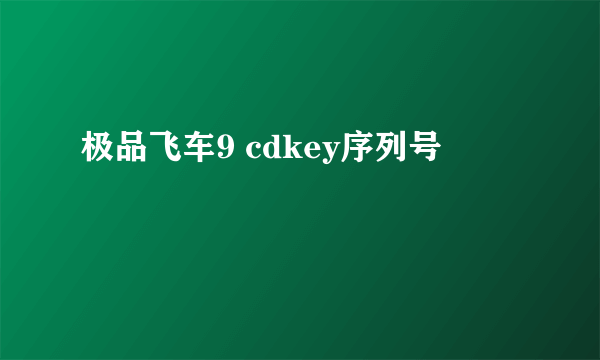 极品飞车9 cdkey序列号