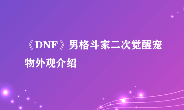 《DNF》男格斗家二次觉醒宠物外观介绍