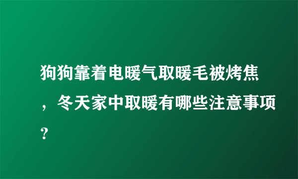 狗狗靠着电暖气取暖毛被烤焦，冬天家中取暖有哪些注意事项？