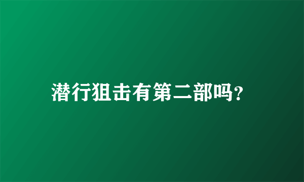 潜行狙击有第二部吗？