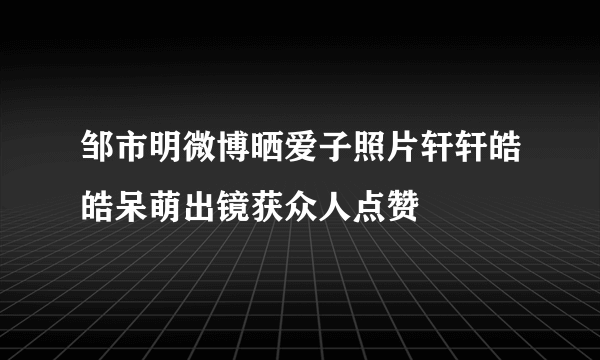 邹市明微博晒爱子照片轩轩皓皓呆萌出镜获众人点赞