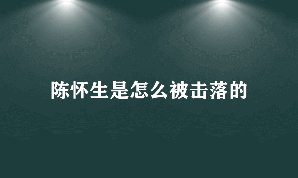 陈怀生是怎么被击落的