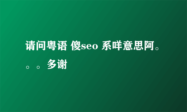 请问粤语 傻seo 系咩意思阿。。。多谢