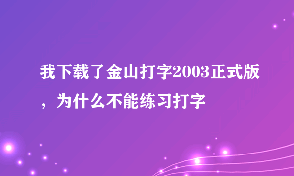 我下载了金山打字2003正式版，为什么不能练习打字