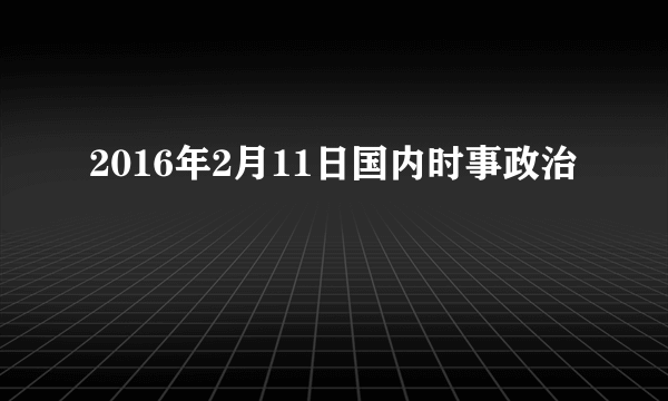 2016年2月11日国内时事政治