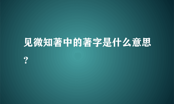 见微知著中的著字是什么意思？