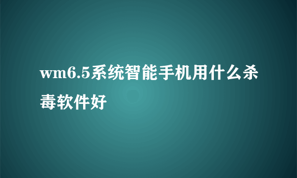 wm6.5系统智能手机用什么杀毒软件好