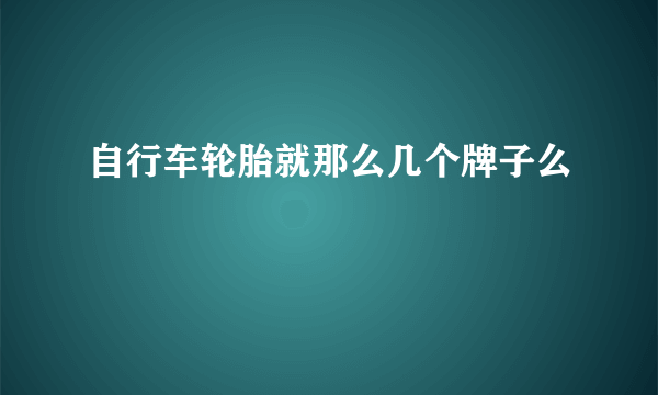 自行车轮胎就那么几个牌子么