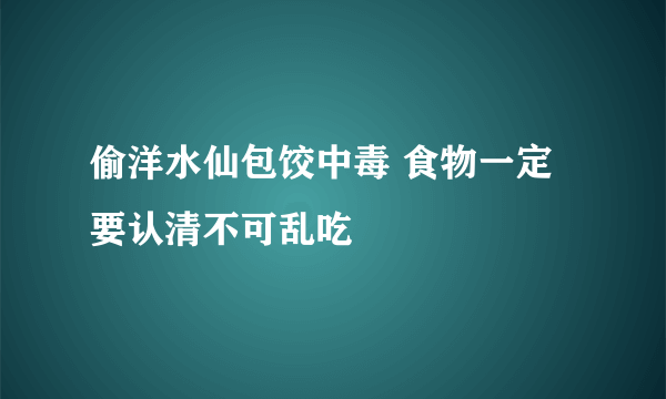 偷洋水仙包饺中毒 食物一定要认清不可乱吃