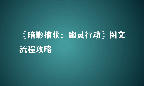 《暗影捕获：幽灵行动》图文流程攻略